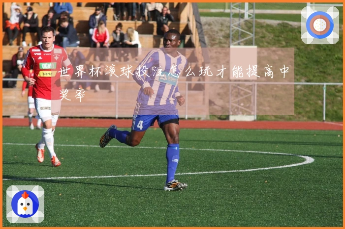 世界杯滚球投注怎么玩才能提高中奖率