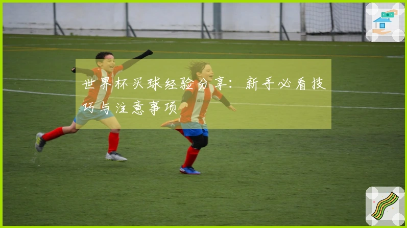 世界杯买球经验分享：新手必看技巧与注意事项