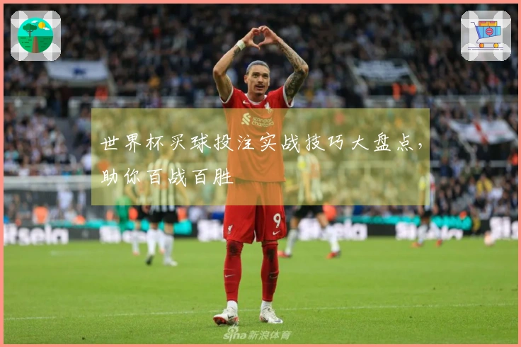 世界杯买球投注实战技巧大盘点，助你百战百胜