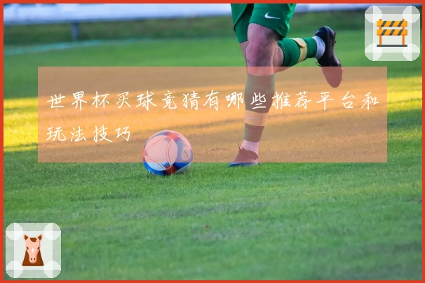 世界杯买球竞猜有哪些推荐平台和玩法技巧