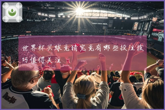 世界杯买球竞猜究竟有哪些投注技巧值得关注