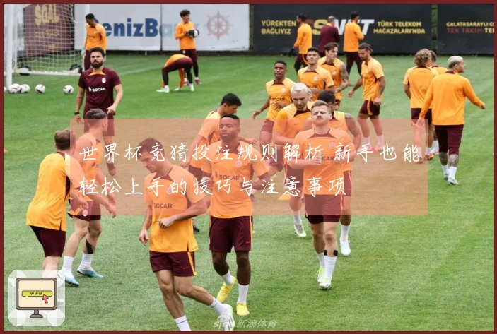 世界杯竞猜投注规则解析 新手也能轻松上手的技巧与注意事项
