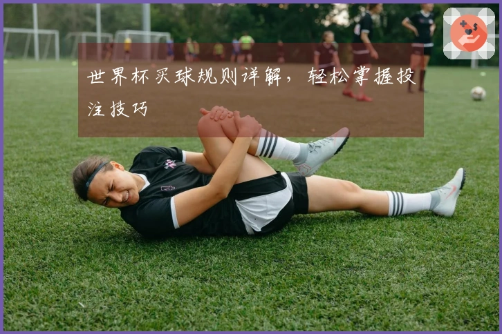世界杯买球规则详解，轻松掌握投注技巧