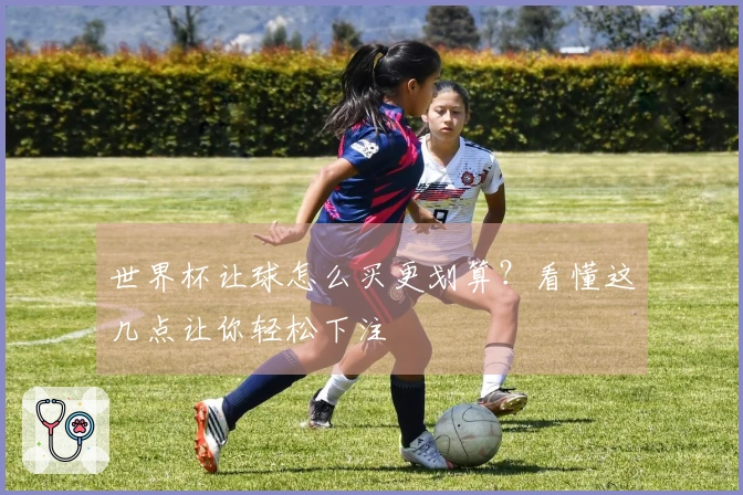 世界杯让球怎么买更划算？看懂这几点让你轻松下注